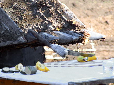 Можно и землю копать, и фрукты-овощи резать Можно и землю копать, и фрукты-овощи резать