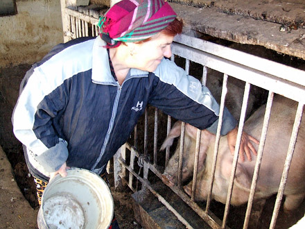 15 октября отмечается Всемирный день сельских женщин 15 октября отмечается Всемирный день сельских женщин