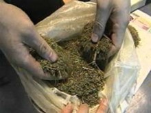 Наркоман прятал марихуану в летнем душе и на чердаке летней кухни