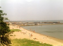 В Мариуполе предпринимателей оштрафовали на 7,5 млн. грн. 