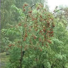 Заоктябрило