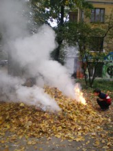 В Луганске за сжигание листвы штрафуют от 340 до 1700 грн.