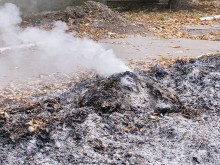 Дымовая завеса: жители Красноармейска жгут листья 