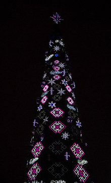 Янукович зажег главную елку Украины. Фото fotofact.net