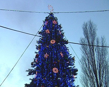 В микрорайоне «Лазурном» прошло торжественное открытие Рождественской елки (ФОТО)