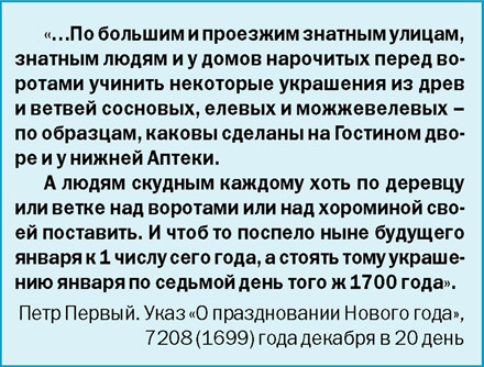 История на еловых лапах