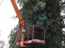 В Красноармейске устанавливают главную городскую елку