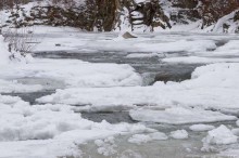 В Волновахе во время зимней рыбалки утонул мужчина