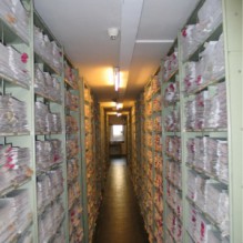 В Дружковке с 10 по 15 января будет проходить перерегистрация членов Украинского союза узников - жертв нацизма