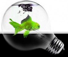 Рынок жизненных гарантий показывает рост