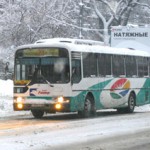 bus_zima11112