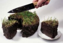 В Донбассе города и районы не могут поделить землю