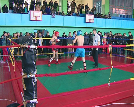 В Селидово прошел Чемпионат области по кикбоксингу(ФОТО)