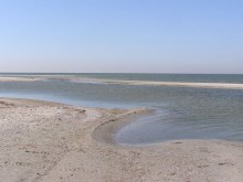 Азовское море наступает. Побережье рискует остаться без пляжей (ФОТО)