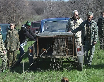 Красноармейские охотники выпустили фазанов (ФОТО)
