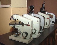 В Красноармейском историческом музее открылась уникальная выставка микроорганизмов