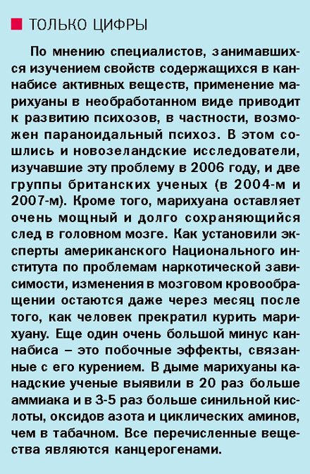 Прощай, Марихуана Ивановна, или Мифы о «легких» наркотиках Прощай, Марихуана Ивановна, или Мифы о «легких» наркотиках