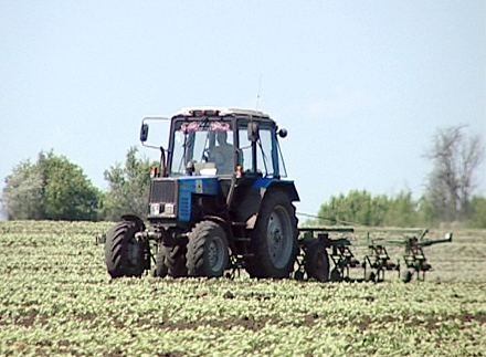 Посевам нужна влага