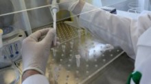 В Мариуполе уже насчитали 19 больных и носителей холеры