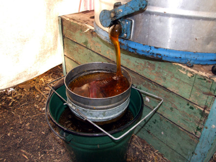 Почему мед «кусается»