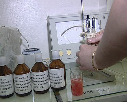 В Красноармейске арбузы прошли проверку