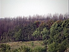 В Красноармейском лесхозе призывают бать осторожными с огнем