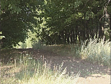 В Красноармейском лесхозе призывают бать осторожными с огнем