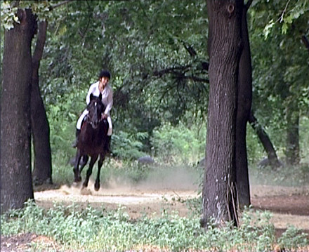 Красноармейский конный клуб воспитывает чемпионов