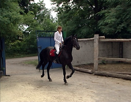 Красноармейский конный клуб воспитывает чемпионов