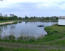 В красноармейском пруду утонули двое мужчин (ФОТО)