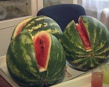 В промышленном сердце Донбасса фермер вырастил экологически чистые продукты