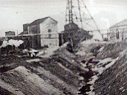 Прошлое и настоящее поселка им. Шевченко