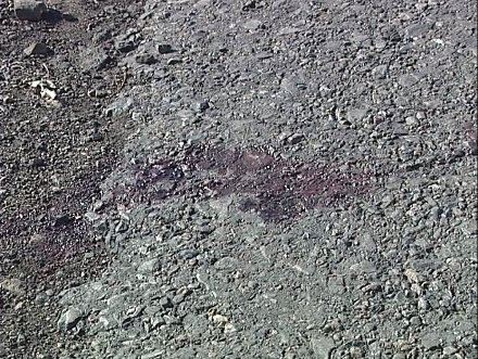 ДТП в районе Димитрова: погиб велосипедист