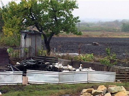 В Гришино поселилась чупакабра?