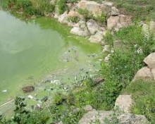 Минэкологии попросили Генпрокуратуру приостановить ввоз моющих средств,  содержащих фосфаты