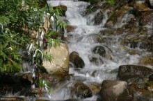 Макеевский источник исцеляет всю область