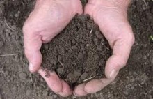 Законопроект о рынке земли будет рассмотрен в парламенте 20 октября