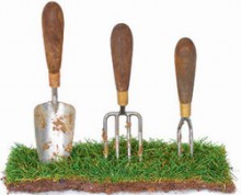 МВФ требует от Украины провести земельную реформу