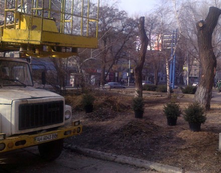 В Донецке на месте палаток чернобыльцев срочно сажают елки
