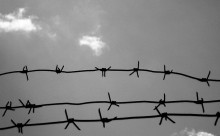 Кабмин от людей уже отгородили колючей проволокой