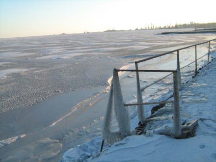 По льду замерзшего Азовского моря катаются велосипедисты