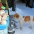 Бродячая проблема