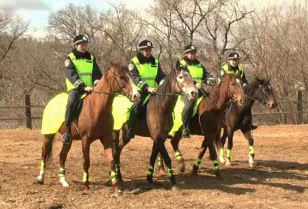 Донецкому полку ПС подарили лошадей для патрулирования