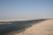 Белосарайской косе грозит экологическая катастрофа