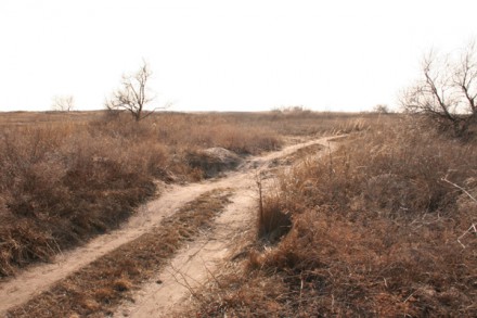 Белосарайской косе грозит экологическая катастрофа