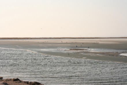 Белосарайской косе грозит экологическая катастрофа