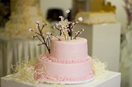 В Донецке прошла свадебная выставка европейского уровня WEDDING STYLE 2012