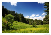 Народные приметы обещают теплое лето 