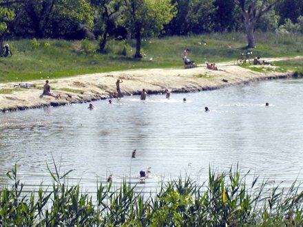 В воду лезть запрещено, а народу все равно