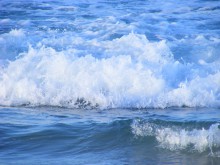 Черное море загрязнили подсолнечным маслом